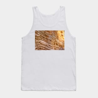 Lick Wash Trail Hike Tank Top